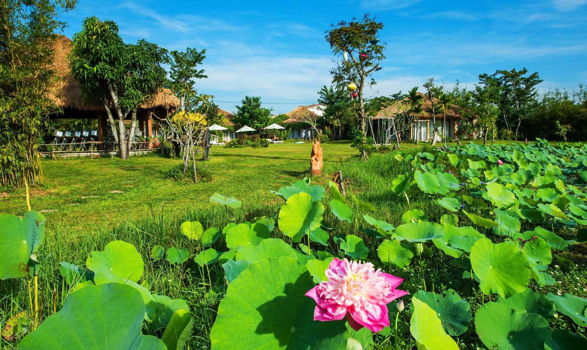 Allamanda Estate Hoi An Exteriör bild