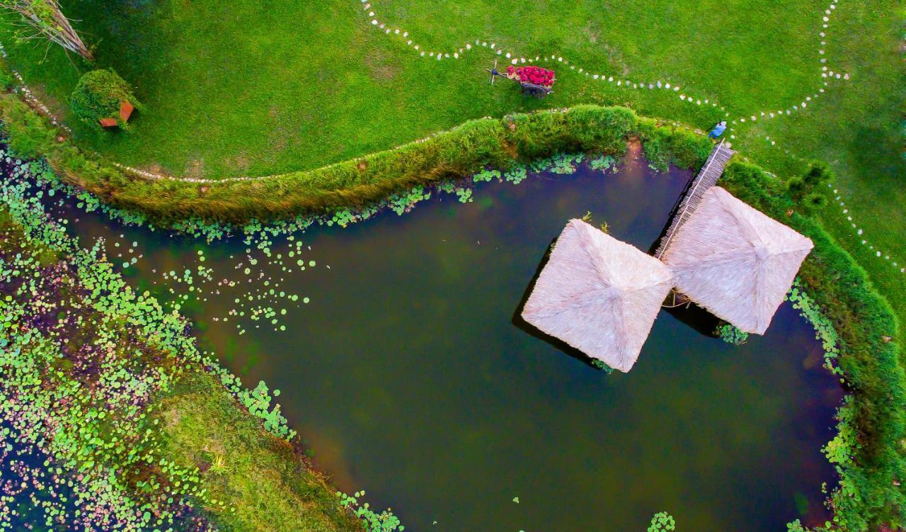 Allamanda Estate Hoi An Exteriör bild